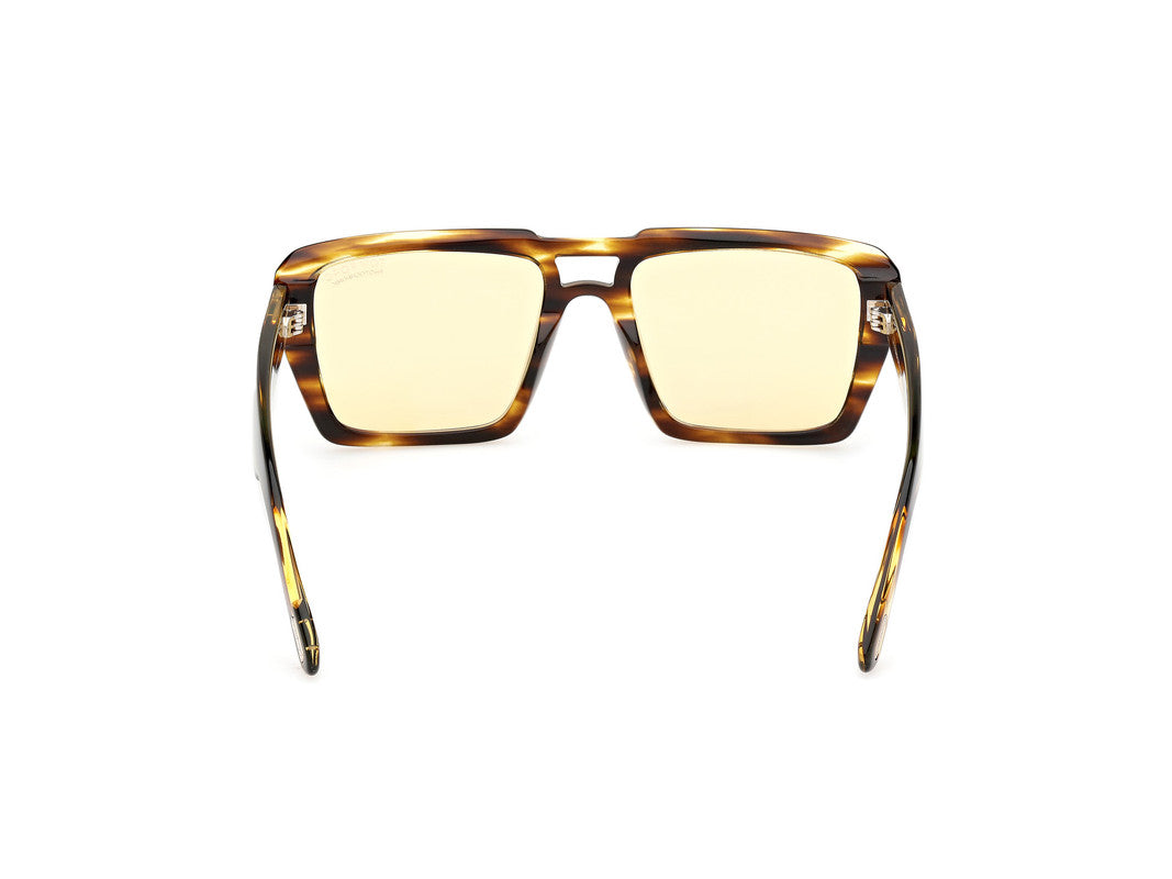 Dark Havana Male Sunglasses Tom Ford 889214520425