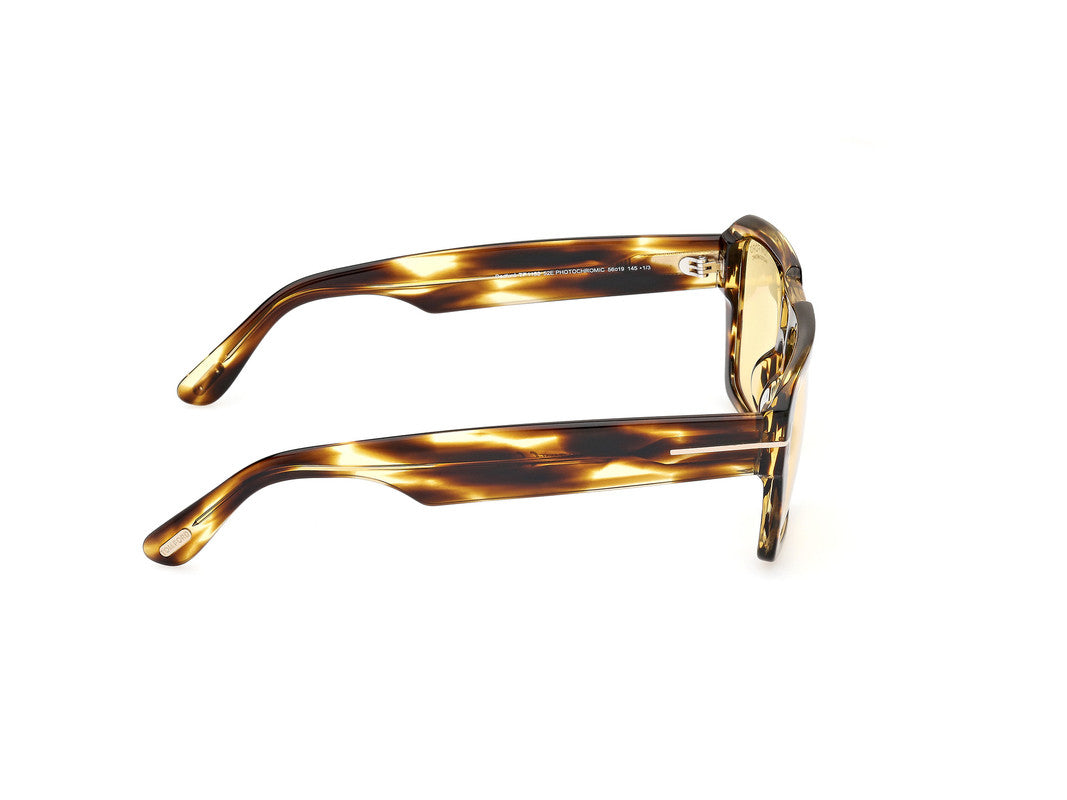 Dark Havana Male Sunglasses Tom Ford 889214520425