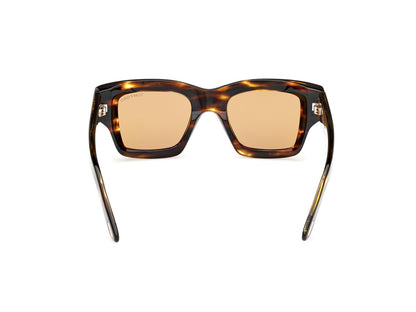 Dark Havana Male Sunglasses Tom Ford 889214520463