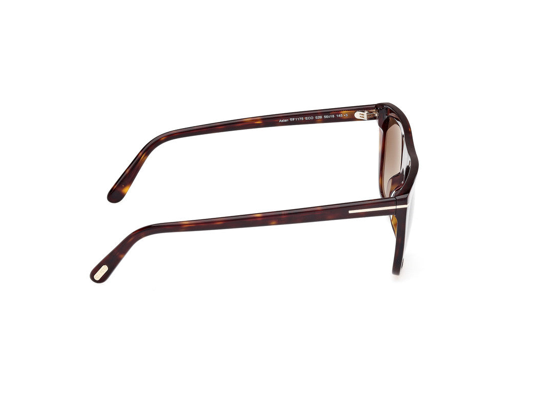 Dark Havana Male Sunglasses Tom Ford 889214548856