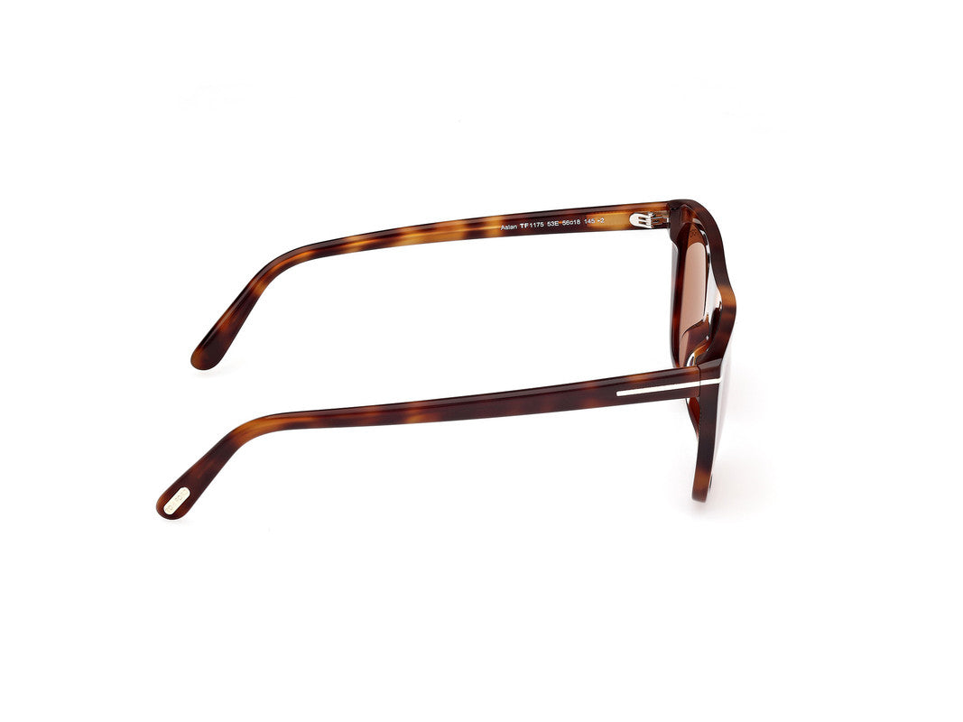 Blonde Havana Male Sunglasses Tom Ford 889214548863