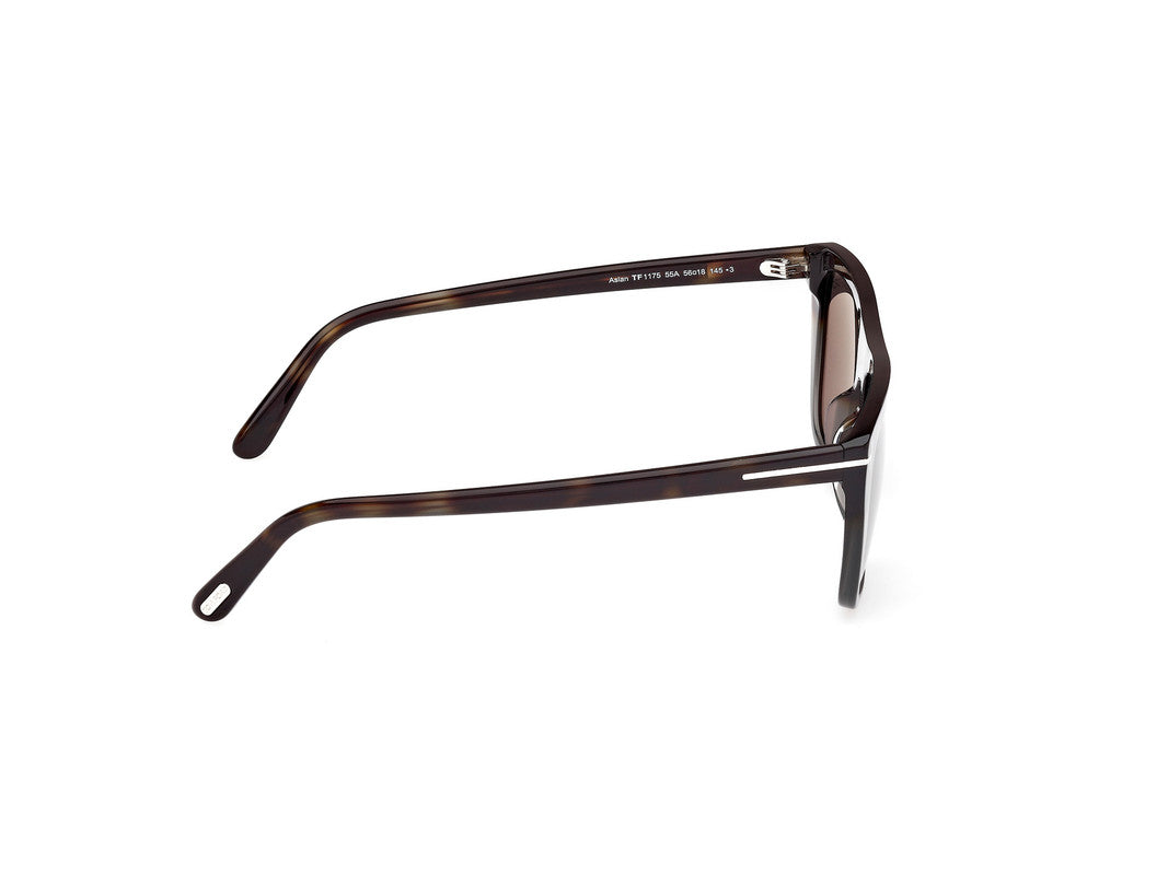 Coloured Havana Male Sunglasses Tom Ford 889214548870