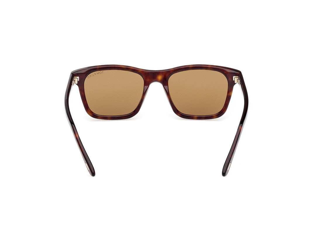 Dark Havana Male Sunglasses Tom Ford 889214549013