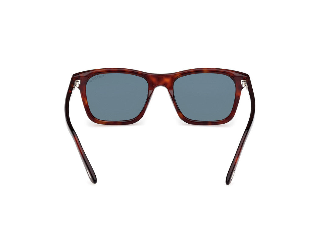 Red Havana Male Sunglasses Tom Ford 889214549020