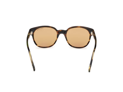 Dark Havana Male Sunglasses Tom Ford 889214549051