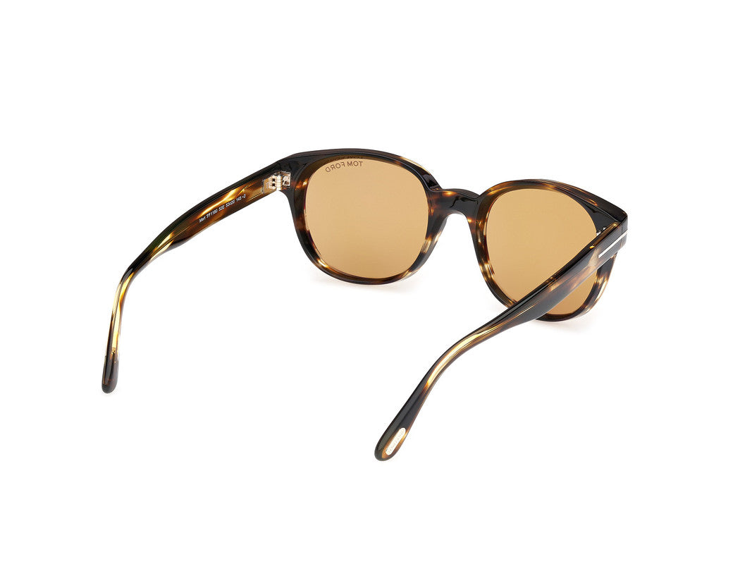 Dark Havana Male Sunglasses Tom Ford 889214549051
