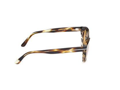 Dark Havana Male Sunglasses Tom Ford 889214549051