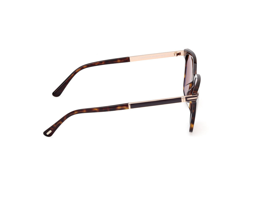 Dark Havana Male Sunglasses Tom Ford 889214549112