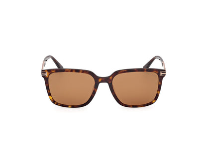 Dark Havana Male Sunglasses Tom Ford 889214549112
