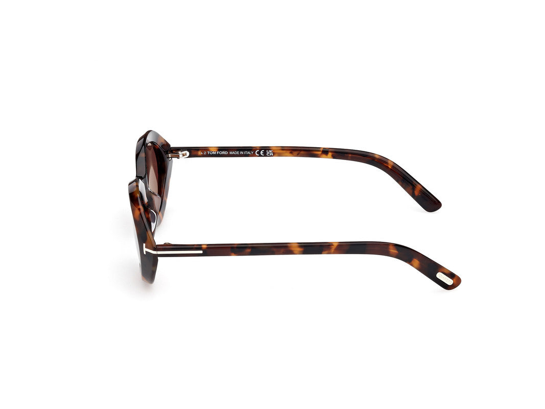 Dark Havana Female Sunglasses Tom Ford 889214549198