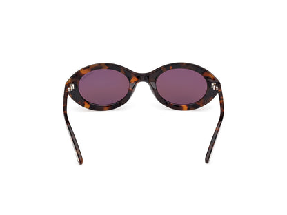 Dark Havana Female Sunglasses Tom Ford 889214549198