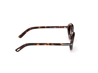 Dark Havana Female Sunglasses Tom Ford 889214549198