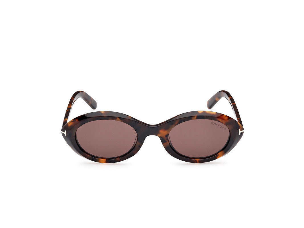 Dark Havana Female Sunglasses Tom Ford 889214549198