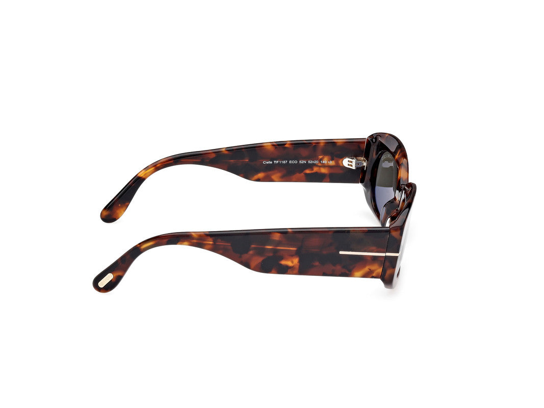 Dark Havana Female Sunglasses Tom Ford 889214549228