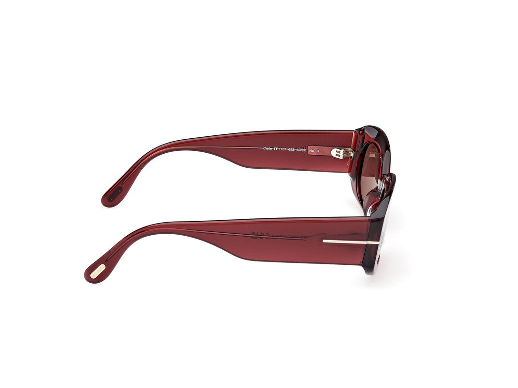 Shiny Bordeaux Female Sunglasses Tom Ford 889214549235