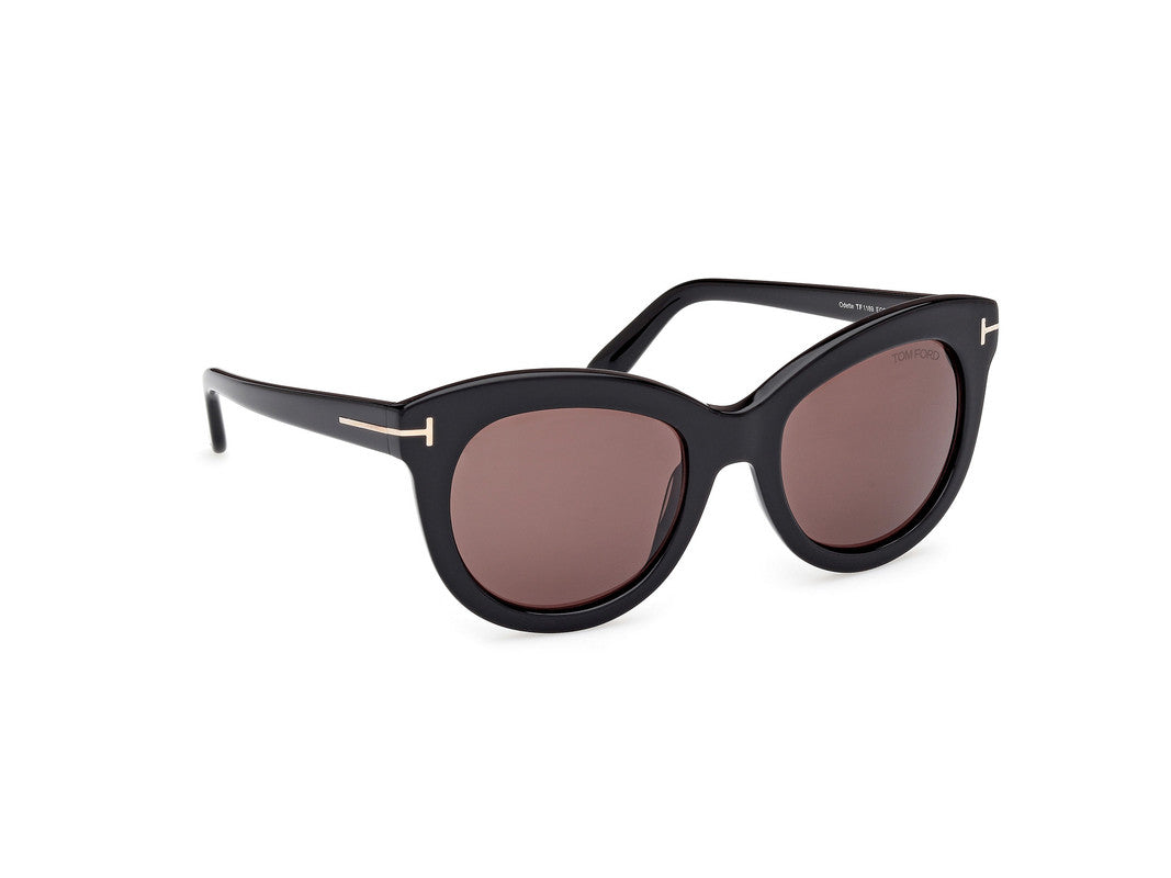 Shiny Black Female Sunglasses Tom Ford 889214549273