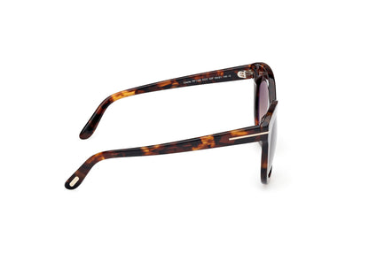 Dark Havana Female Sunglasses Tom Ford 889214549297