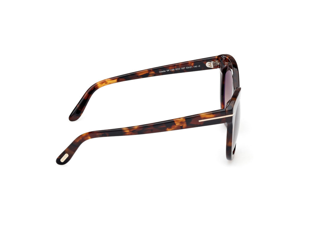 Dark Havana Female Sunglasses Tom Ford 889214549297