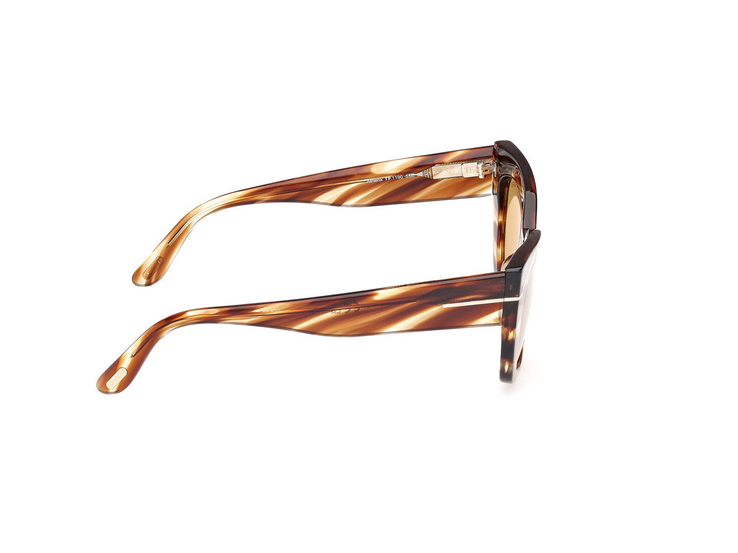 Blonde Havana Female Sunglasses Tom Ford 889214549341