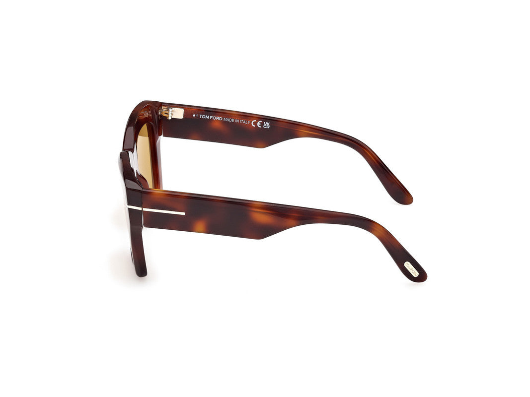 Blonde Havana Female Sunglasses Tom Ford 889214549396