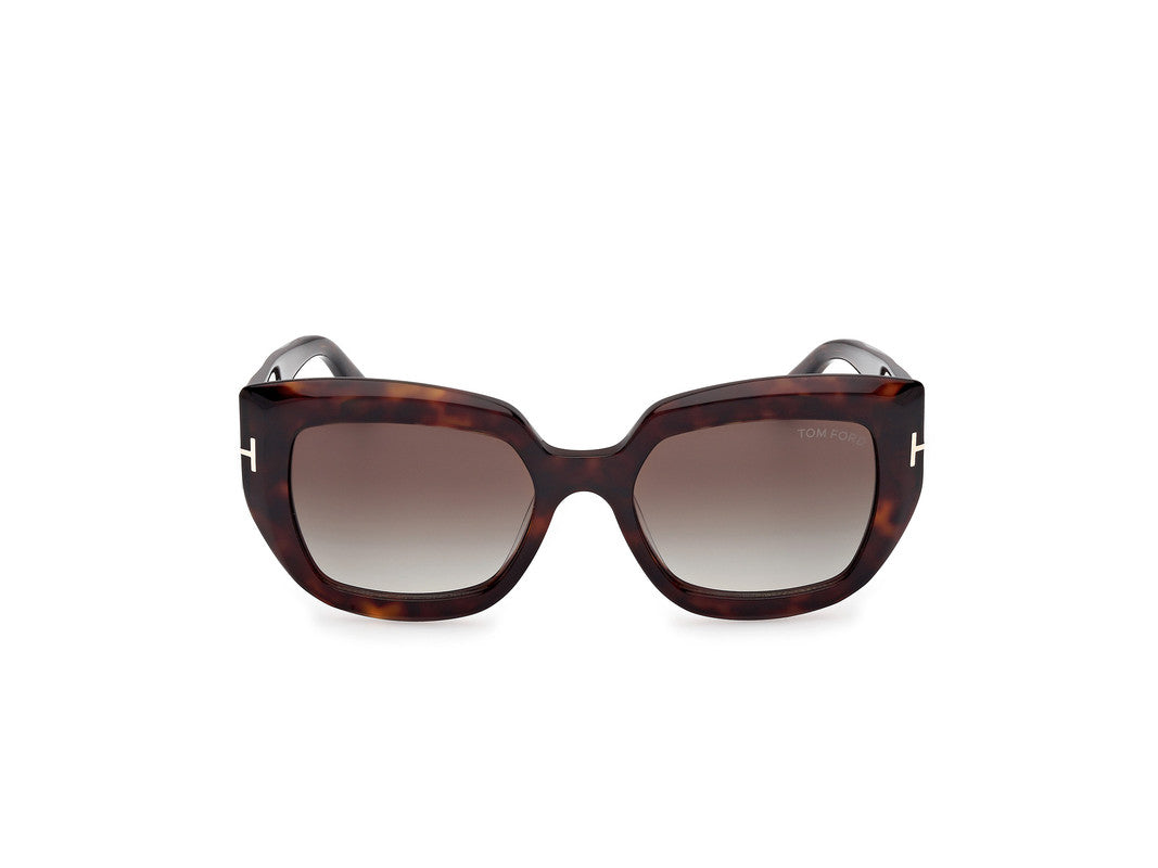Dark Havana Female Sunglasses Tom Ford 889214549426