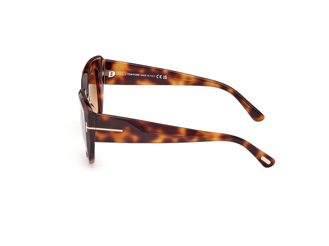 Blonde Havana Female Sunglasses Tom Ford 889214549433