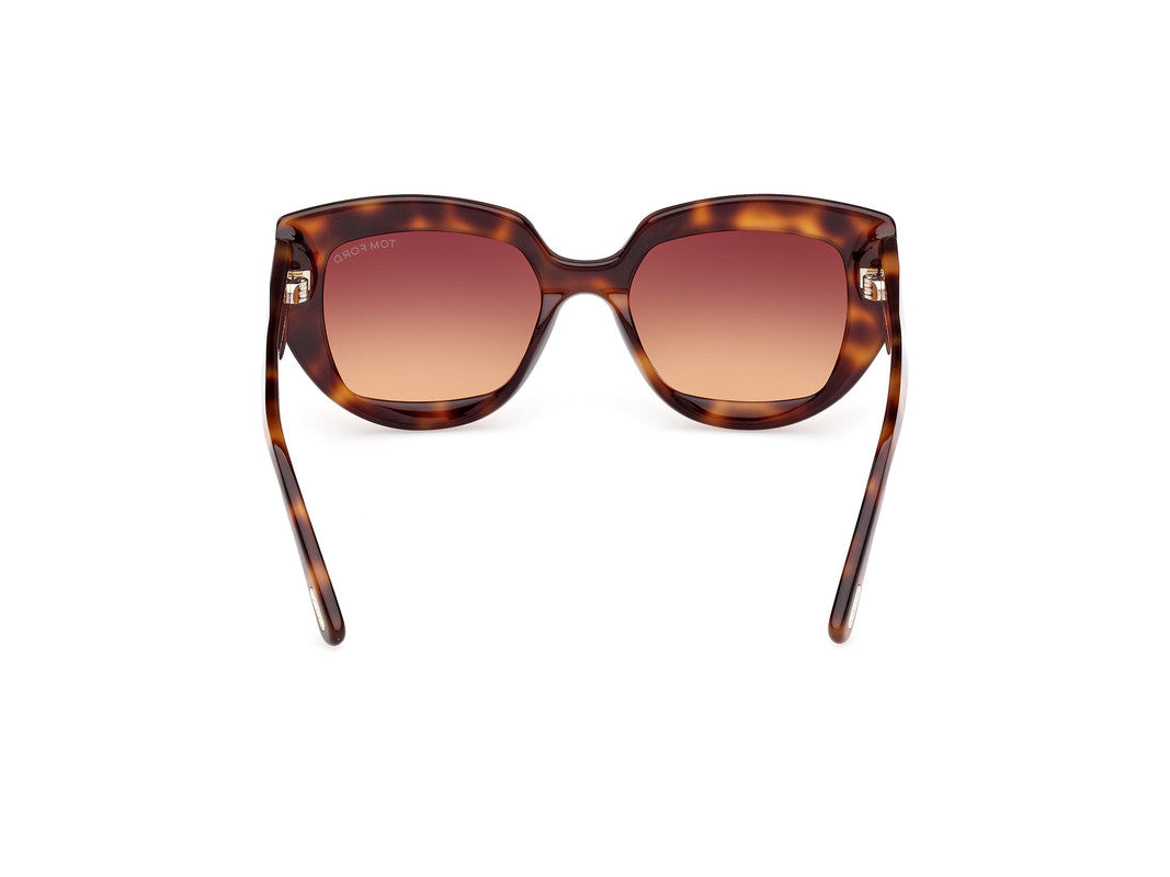 Blonde Havana Female Sunglasses Tom Ford 889214549433