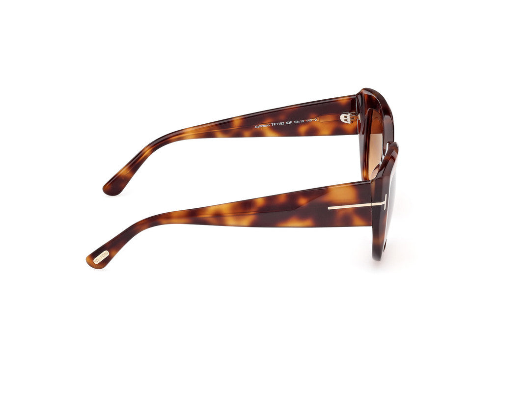 Blonde Havana Female Sunglasses Tom Ford 889214549433
