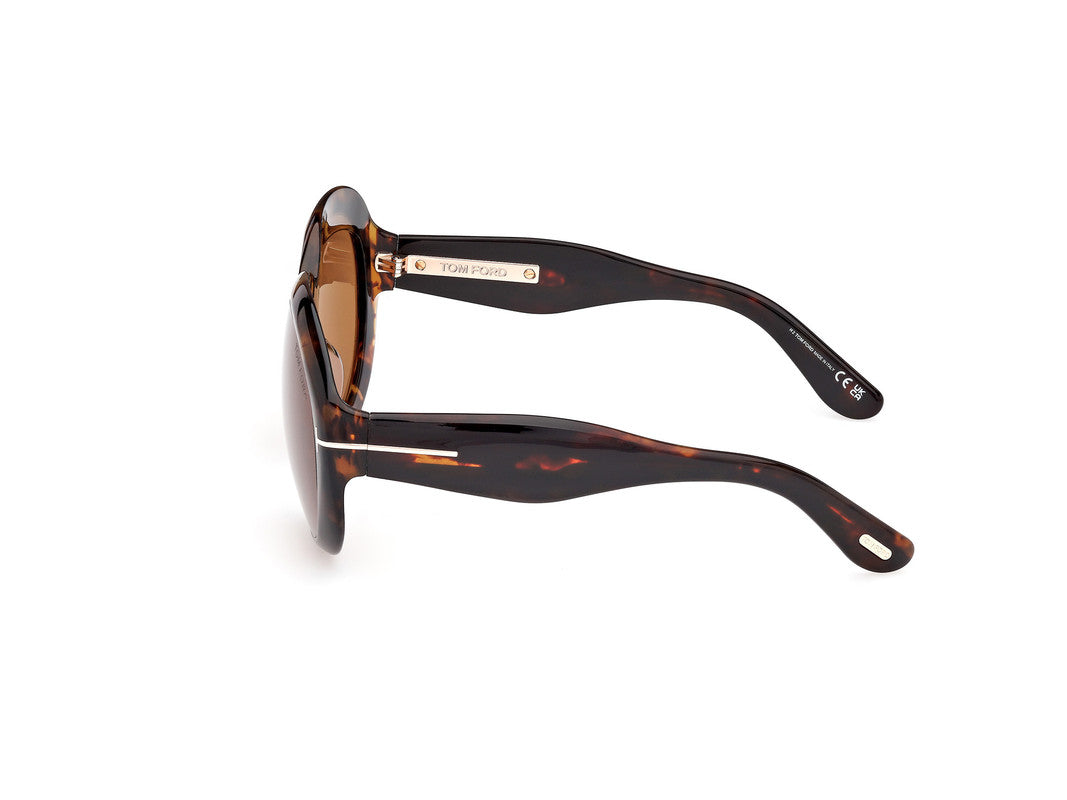 Dark Havana Female Sunglasses Tom Ford 889214549457