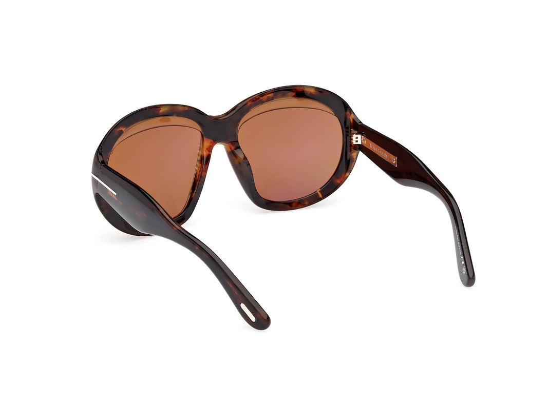 Dark Havana Female Sunglasses Tom Ford 889214549457