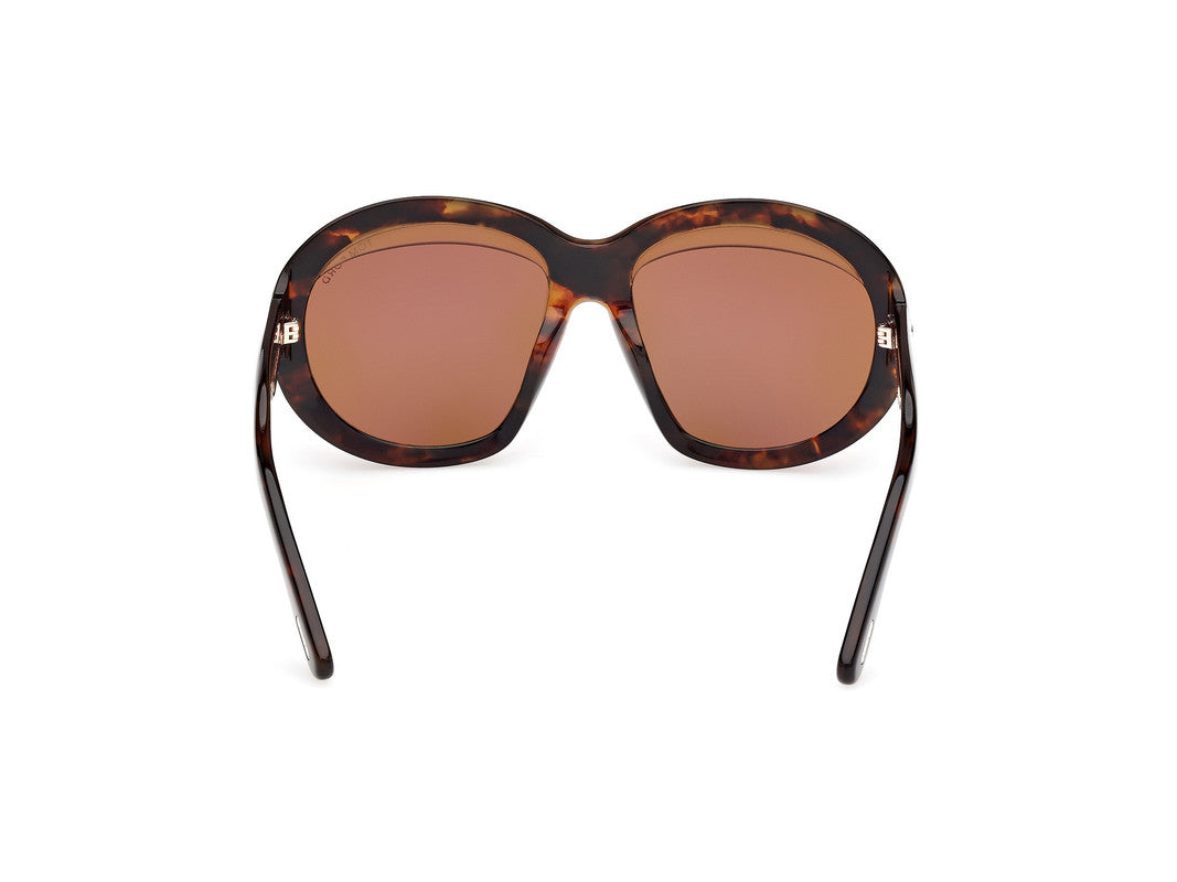 Dark Havana Female Sunglasses Tom Ford 889214549457