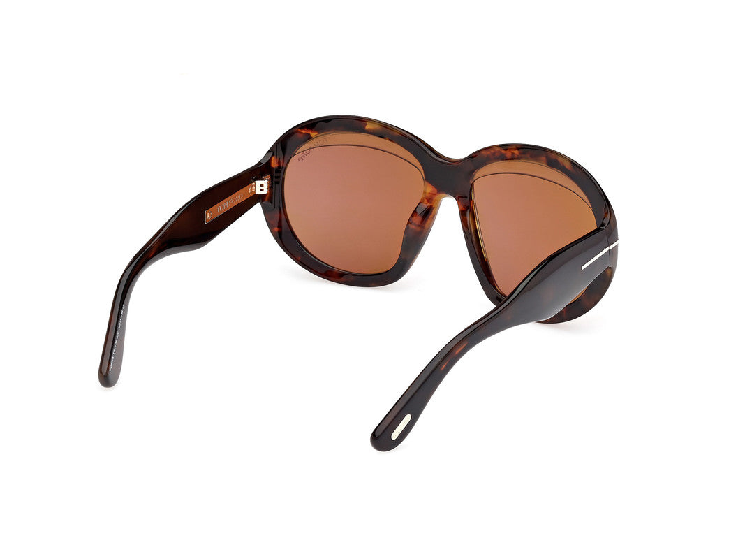 Dark Havana Female Sunglasses Tom Ford 889214549457