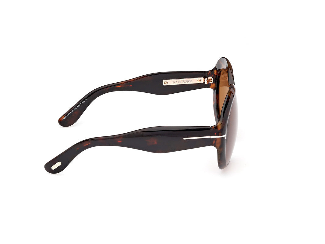 Dark Havana Female Sunglasses Tom Ford 889214549457