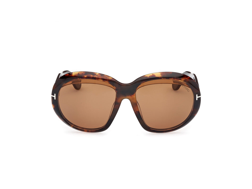 Dark Havana Female Sunglasses Tom Ford 889214549457