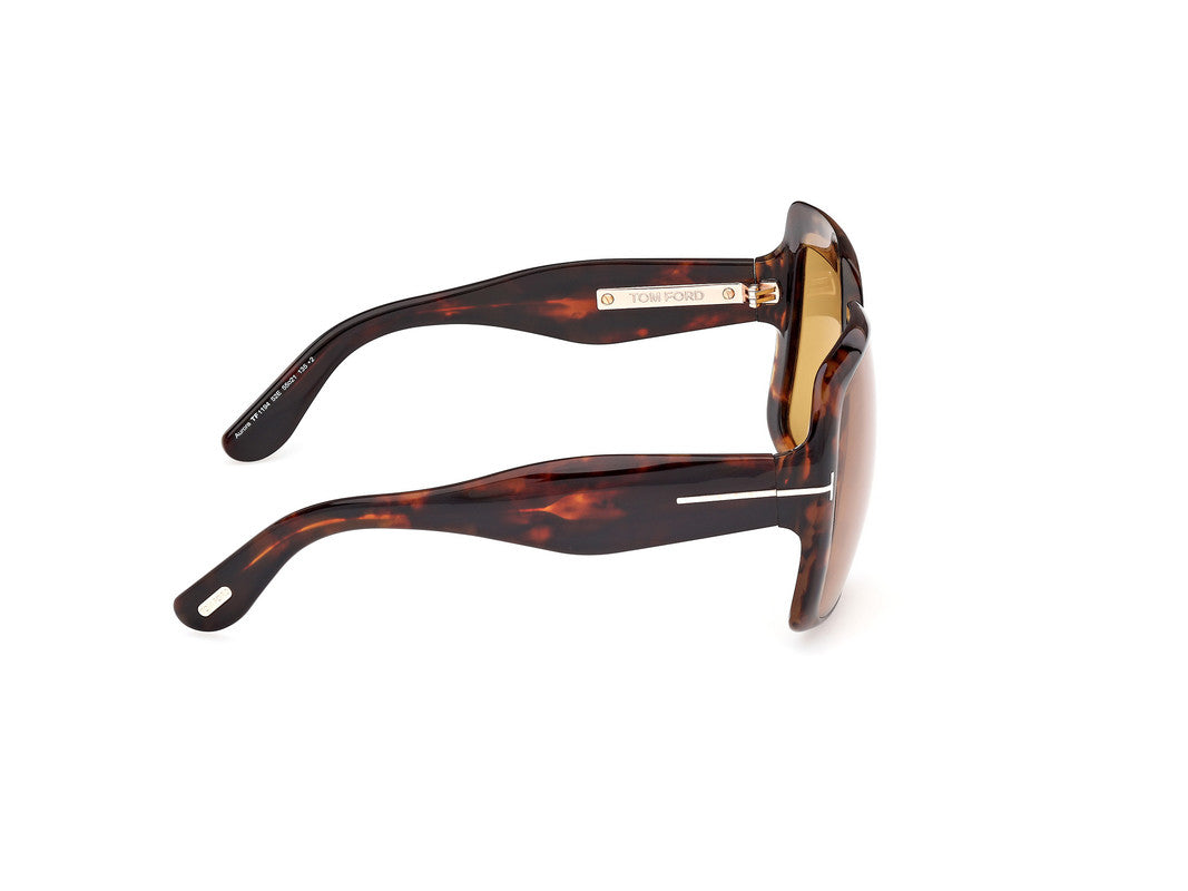 Dark Havana Female Sunglasses Tom Ford 889214549471