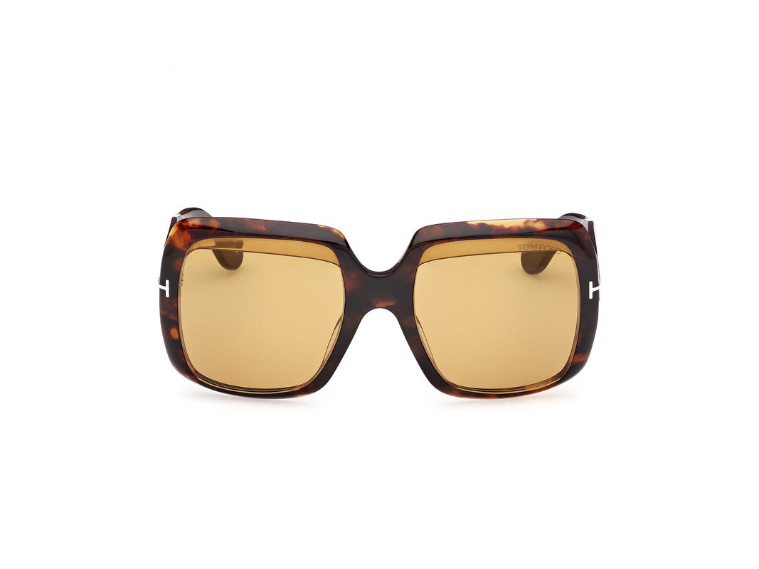 Dark Havana Female Sunglasses Tom Ford 889214549471