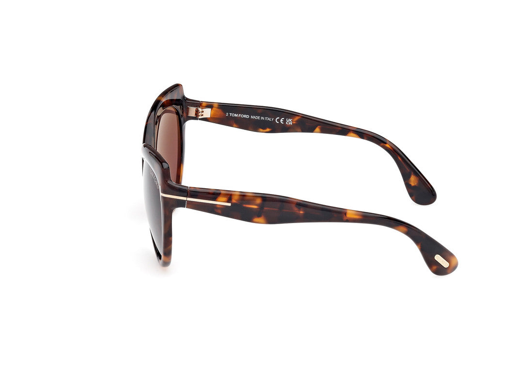 Dark Havana Female Sunglasses Tom Ford 889214549525