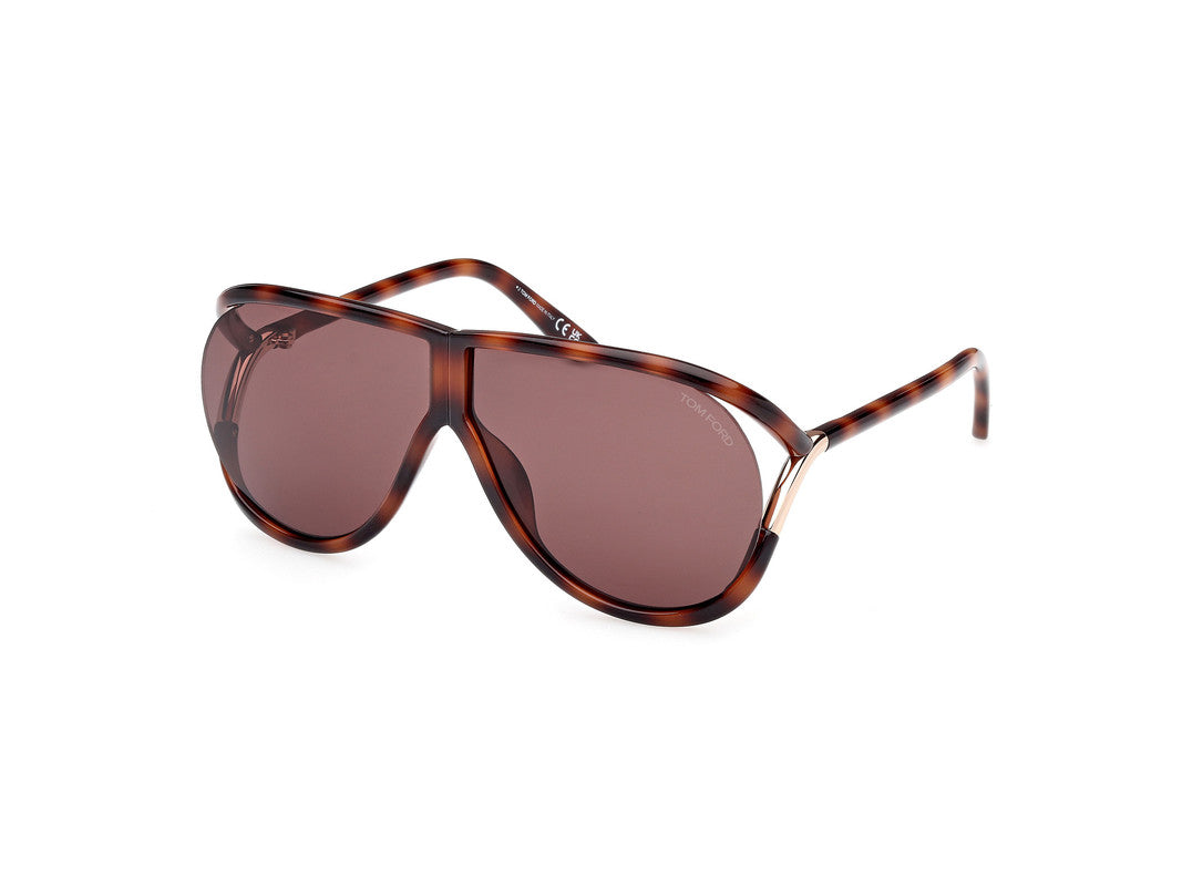 Blonde Havana Unisex Sunglasses Tom Ford 889214549556