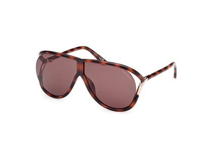 Blonde Havana Unisex Sunglasses Tom Ford 889214549556