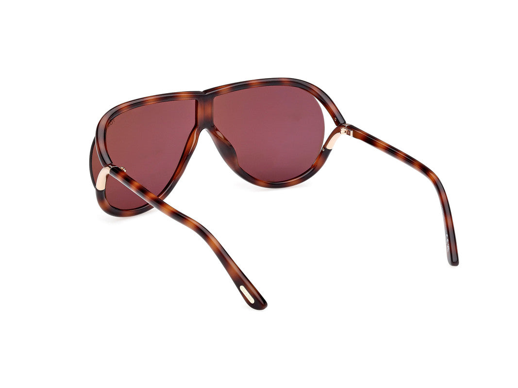 Blonde Havana Unisex Sunglasses Tom Ford 889214549556