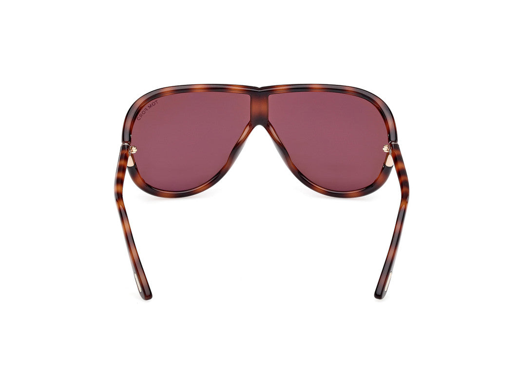Blonde Havana Unisex Sunglasses Tom Ford 889214549556