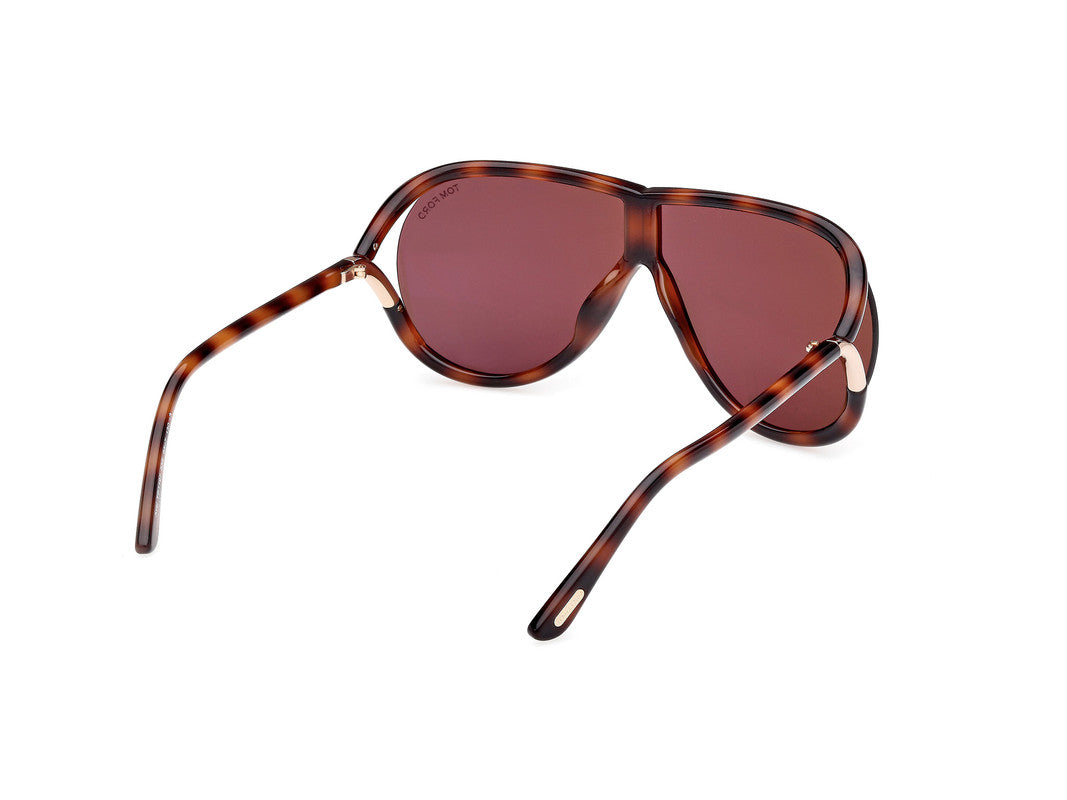 Blonde Havana Unisex Sunglasses Tom Ford 889214549556