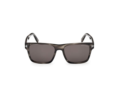 Havana Male Sunglasses Tom Ford 889214558381