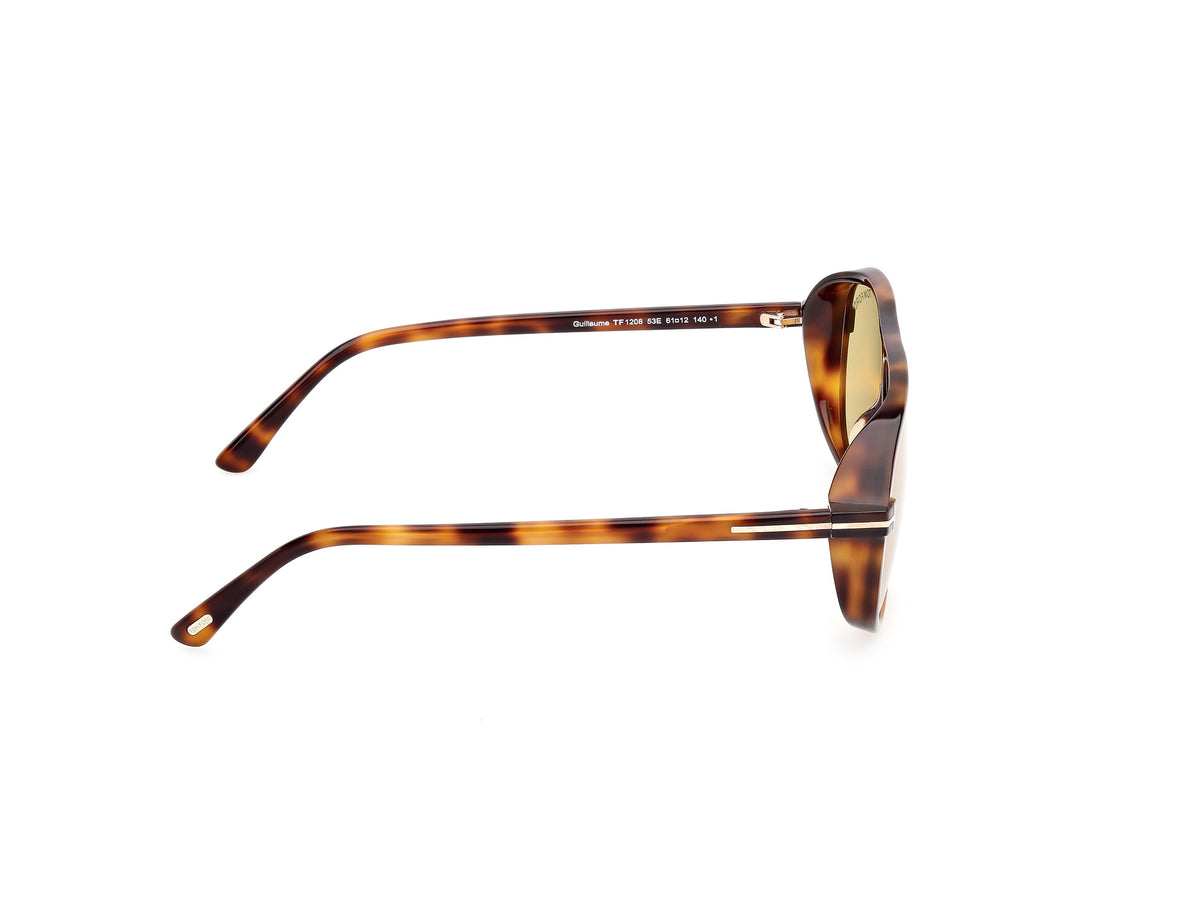 Blonde Havana Brown Unisex Sunglasses Tom Ford 889214558558