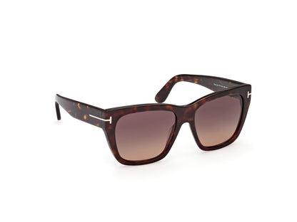 Dark Havana Female Sunglasses Tom Ford 889214636485