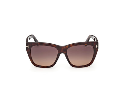 Dark Havana Female Sunglasses Tom Ford 889214636485