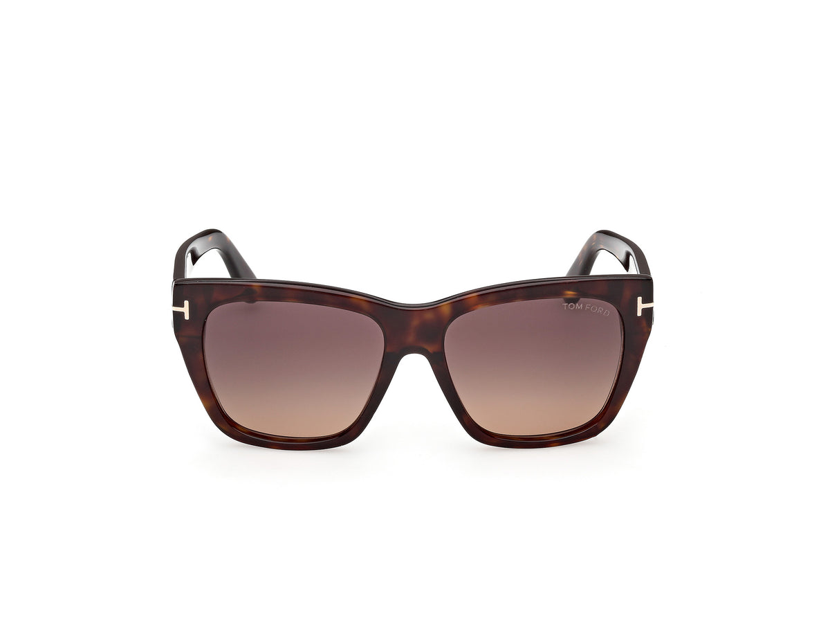 Dark Havana Female Sunglasses Tom Ford 889214636485