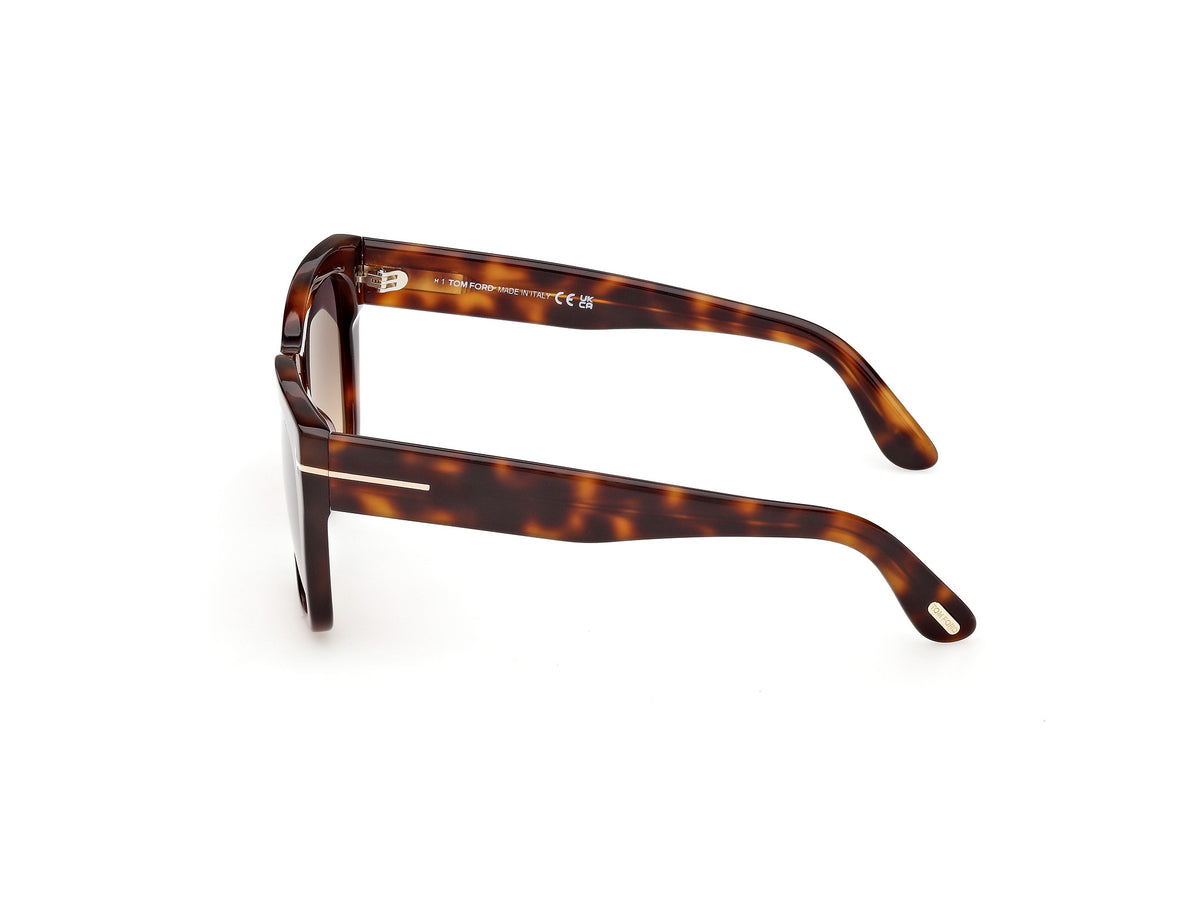 Blonde Havana Female Sunglasses Tom Ford 889214636492