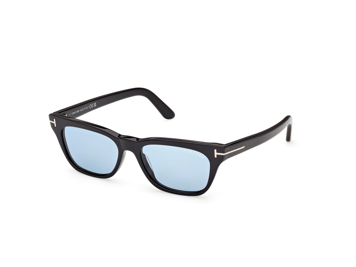 Shiny Black (01V) Unisex Sunglasses Tom Ford 889214642387