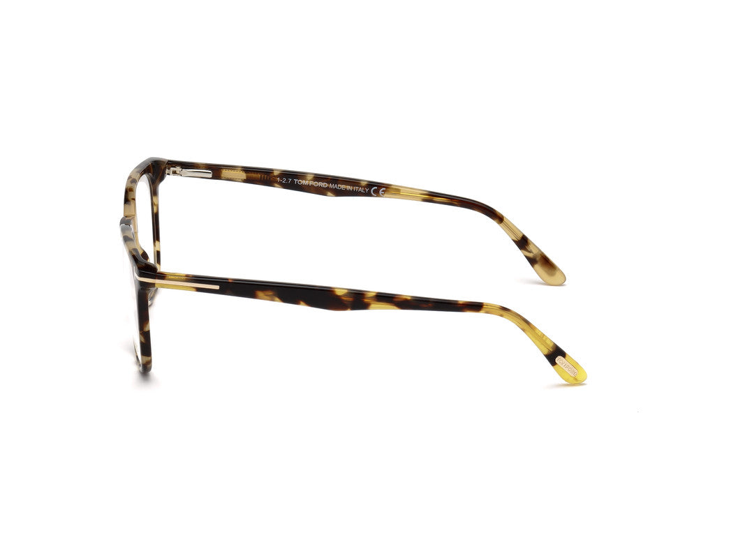 Coloured Havana Male Glasses Tom Ford 664689942541